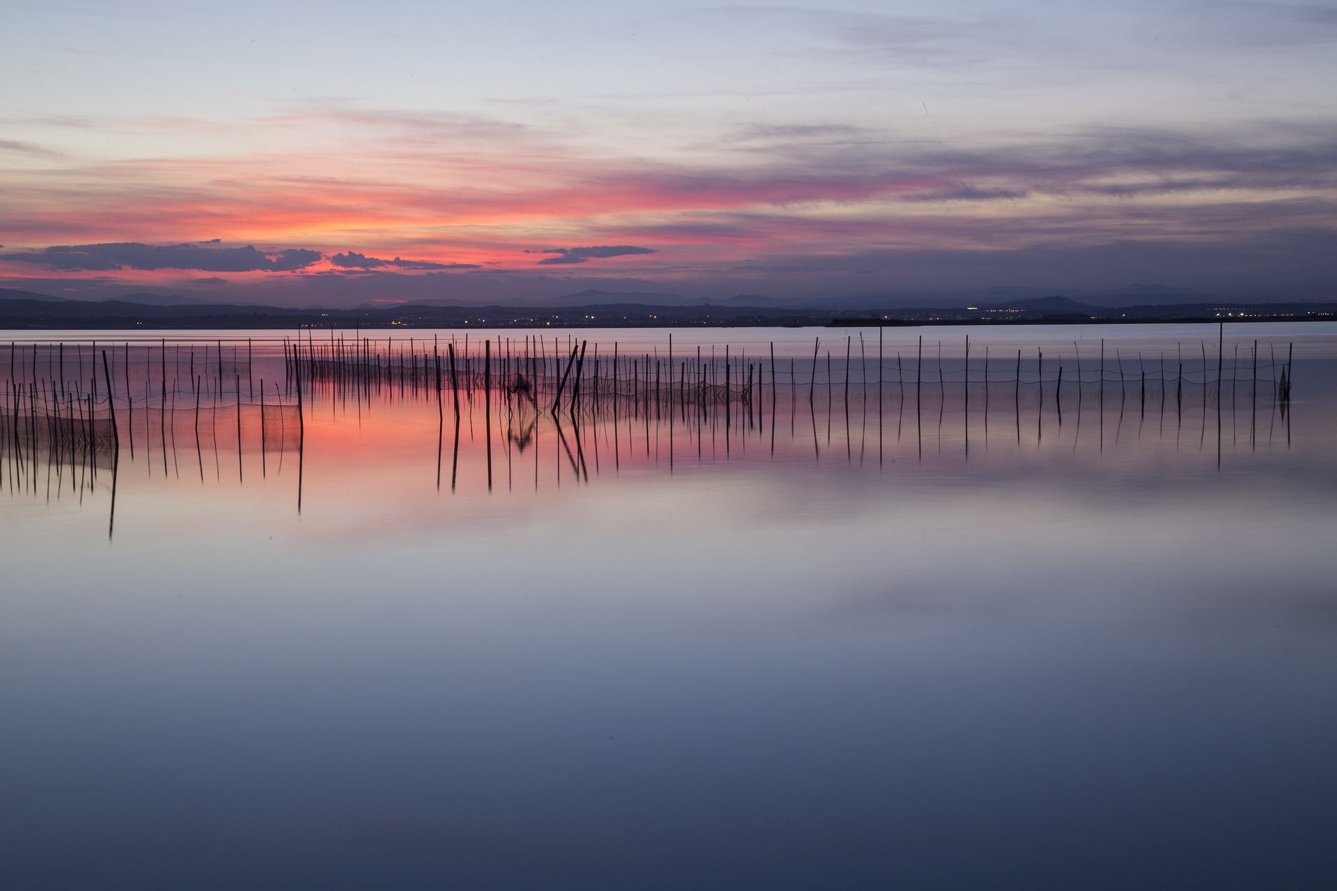 La Albufera